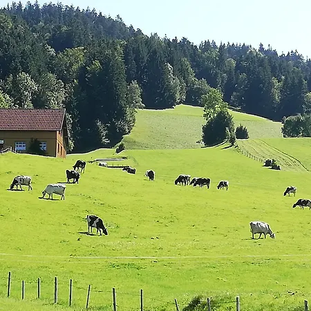 Apartmán Gemuetliches 2 Bettzimmer Mit Gemeinschaftsbad Und Kleiner Kueche Alberschwende